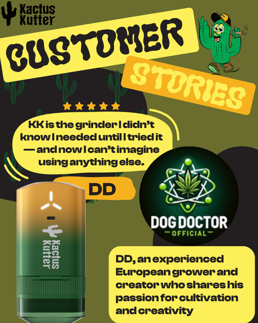 Customer Stories - DD